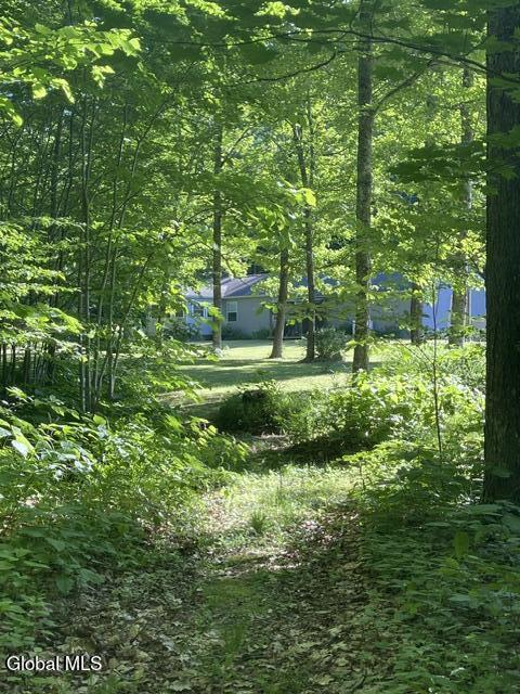137 Creamery Road Blenheim, NY 12131 - Photo 27 of 28 IMG_5182