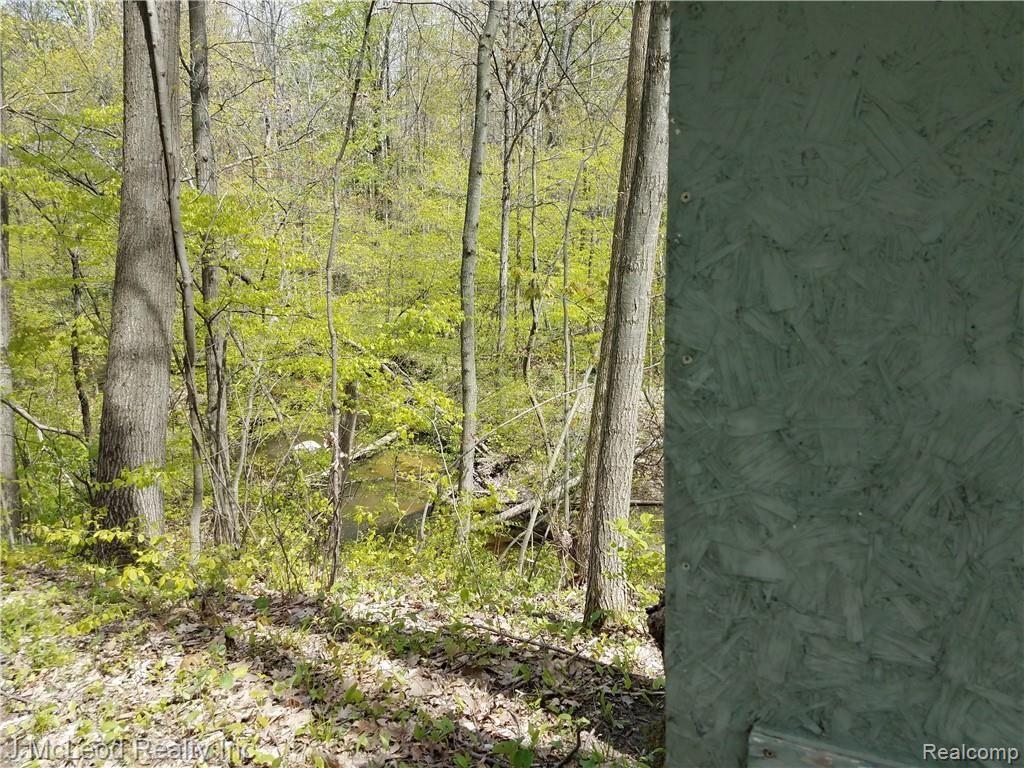 Vl Washburn Road Vassar, MI 48768 - Photo 20 of 37