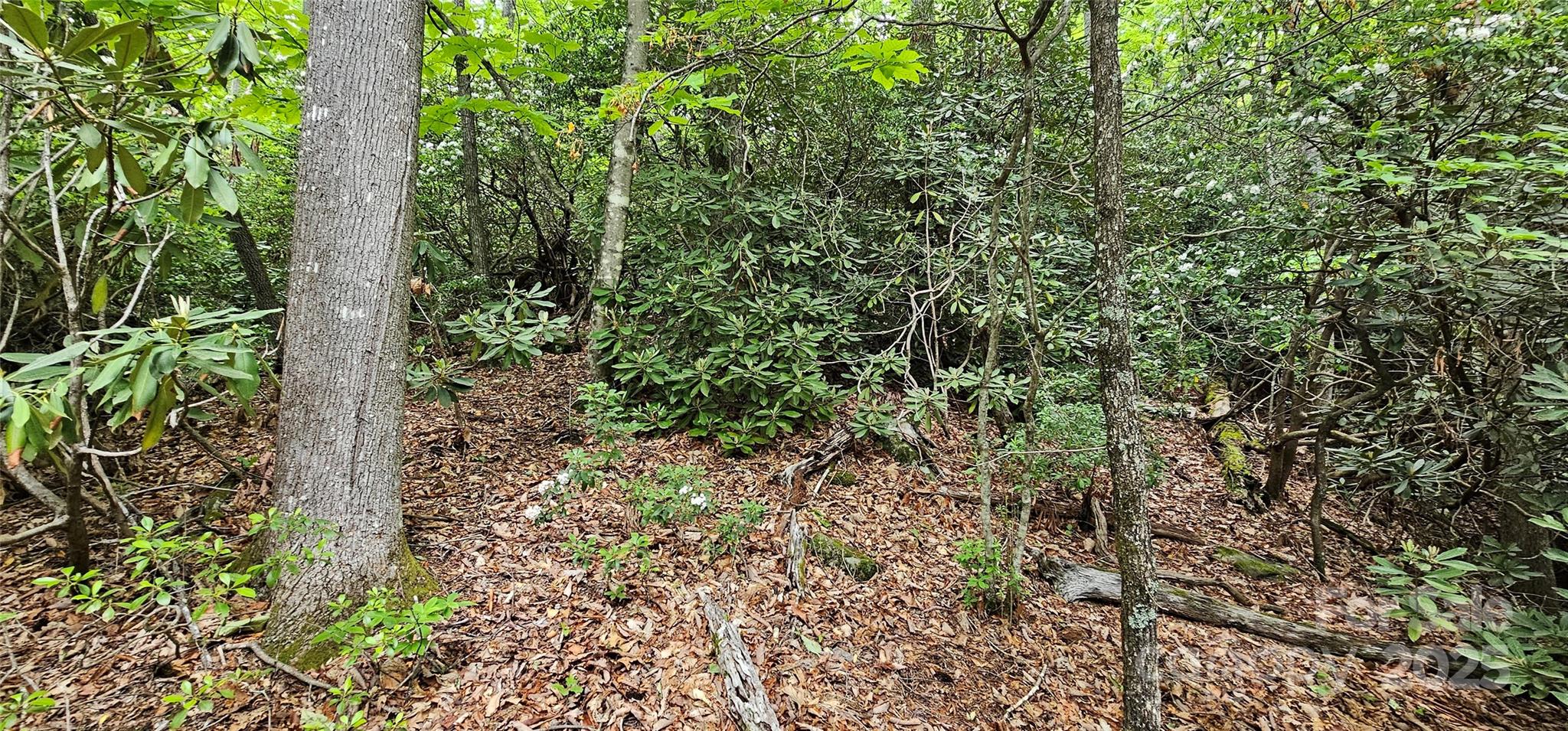 Tbd Ridge Cove Drive, Unit 54 & 55 Marion, NC 28752 - Photo 11 of 36