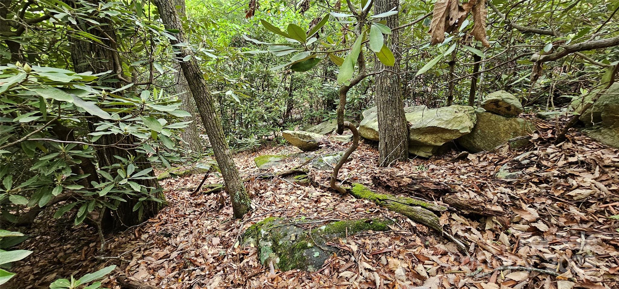 Tbd Ridge Cove Drive, Unit 54 & 55 Marion, NC 28752 - Photo 12 of 36