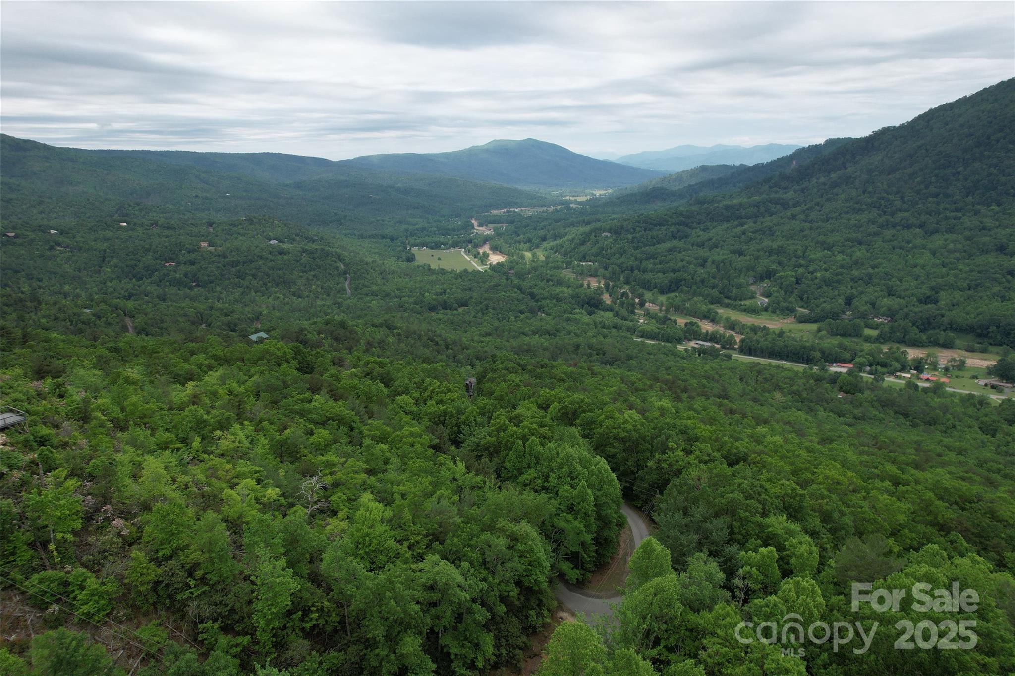 Tbd Ridge Cove Drive, Unit 54 & 55 Marion, NC 28752 - Photo 18 of 36 a view of a lush green forest with lush green forest