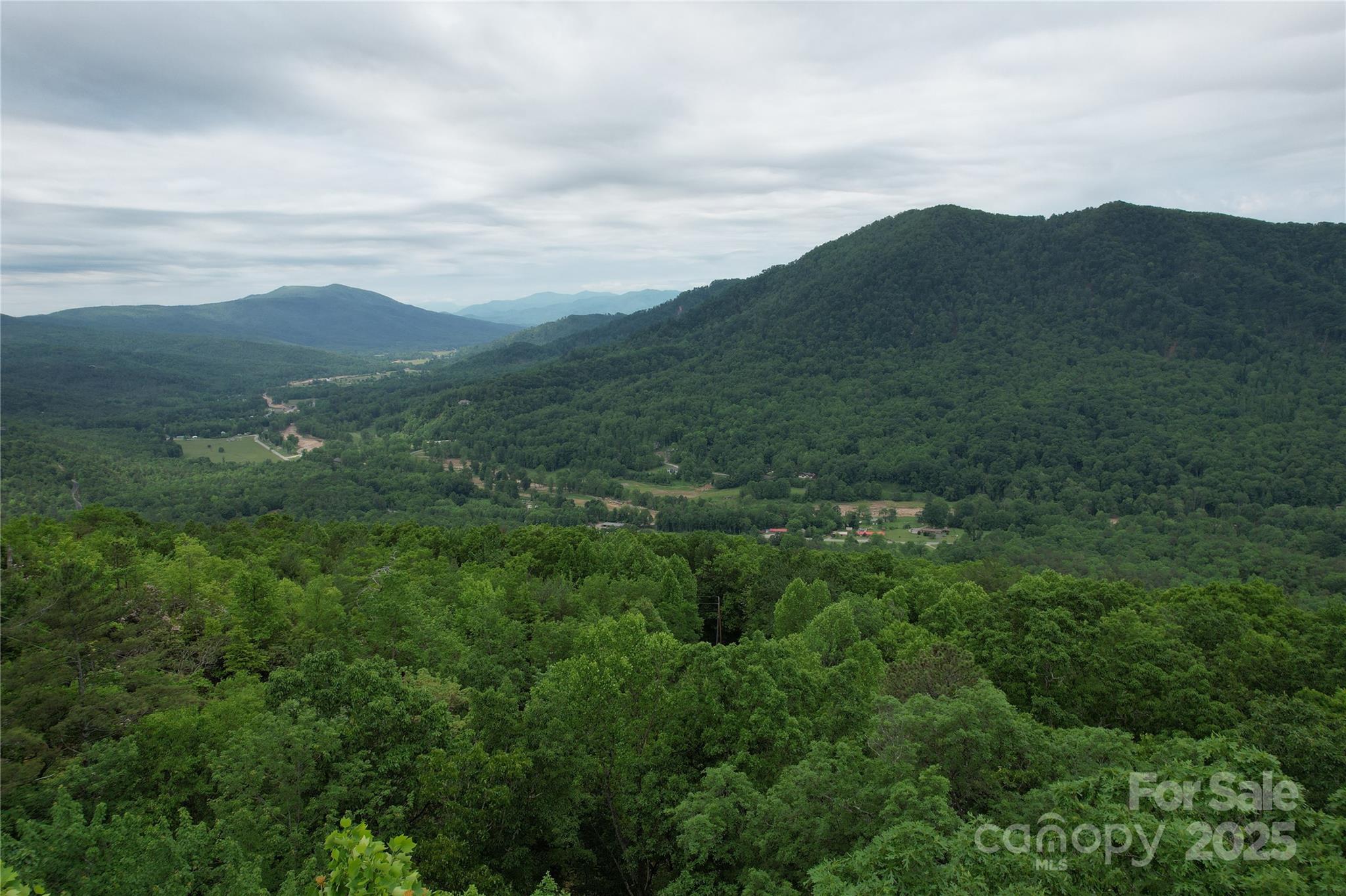 Tbd Ridge Cove Drive, Unit 54 & 55 Marion, NC 28752 - Photo 19 of 36 a view of a mountain range with lush green forest
