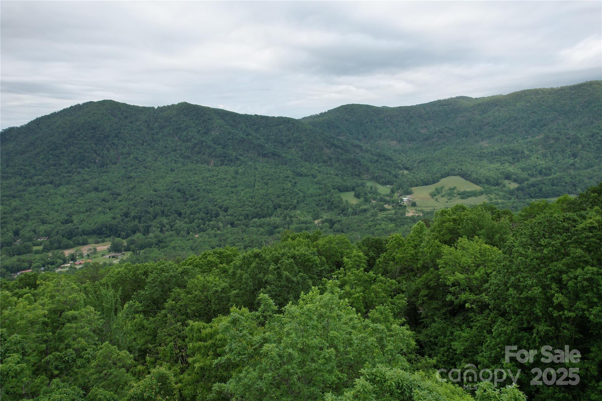 Tbd Ridge Cove Drive, Unit 54 & 55 Marion, NC 28752 - Photo 21 of 36 a view of a mountain in the distance in a field