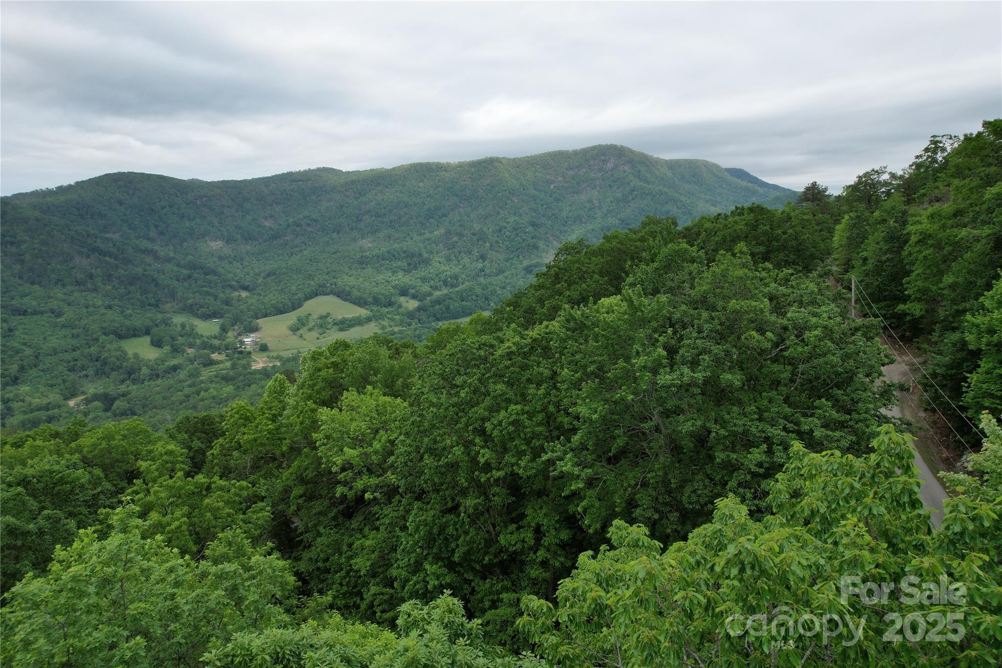 Tbd Ridge Cove Drive, Unit 54 & 55 Marion, NC 28752 - Photo 22 of 36 an aerial view of houses covered in trees