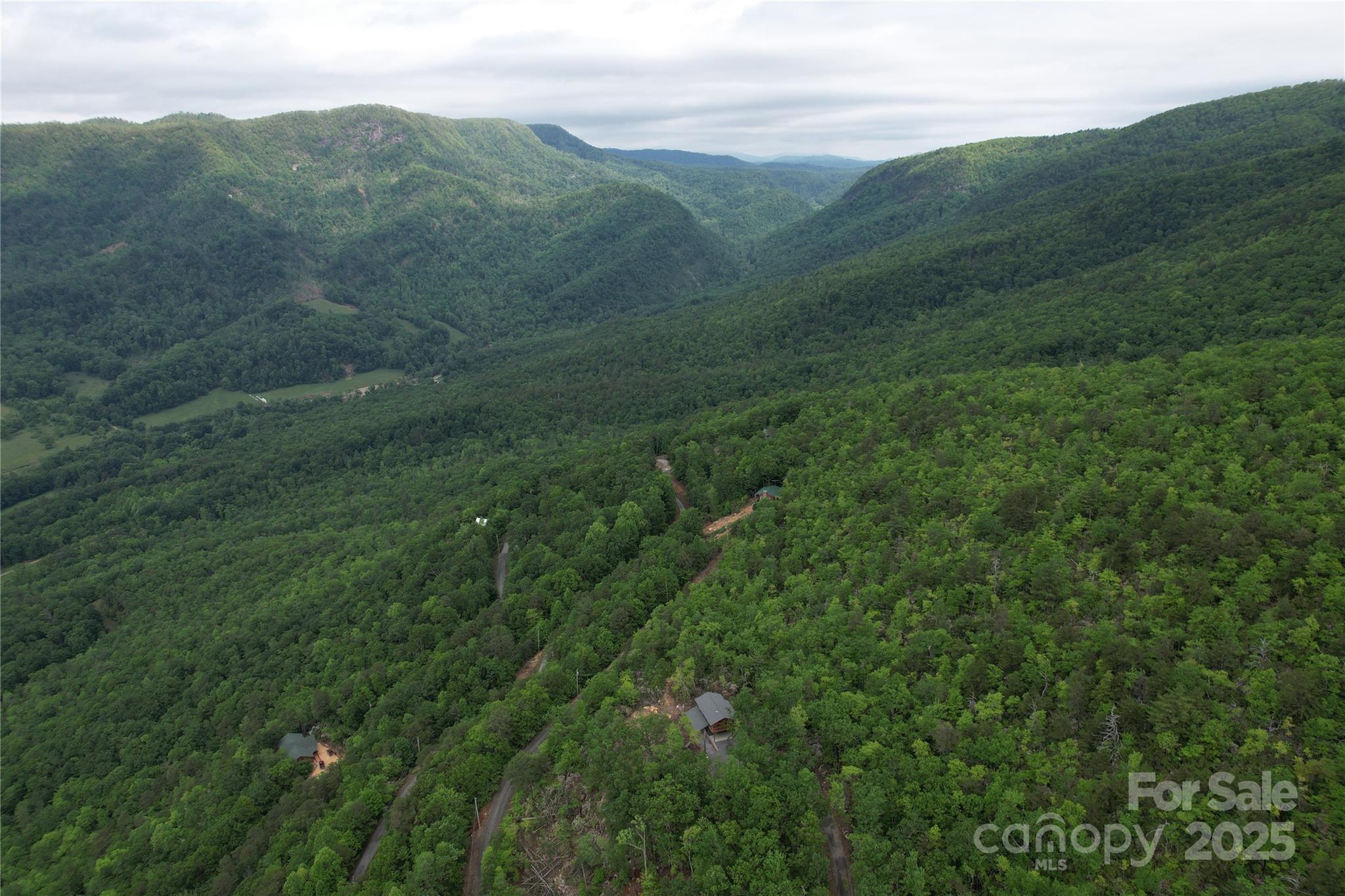 Tbd Ridge Cove Drive, Unit 54 & 55 Marion, NC 28752 - Photo 25 of 36 a view of a lush green forest with lush green forest