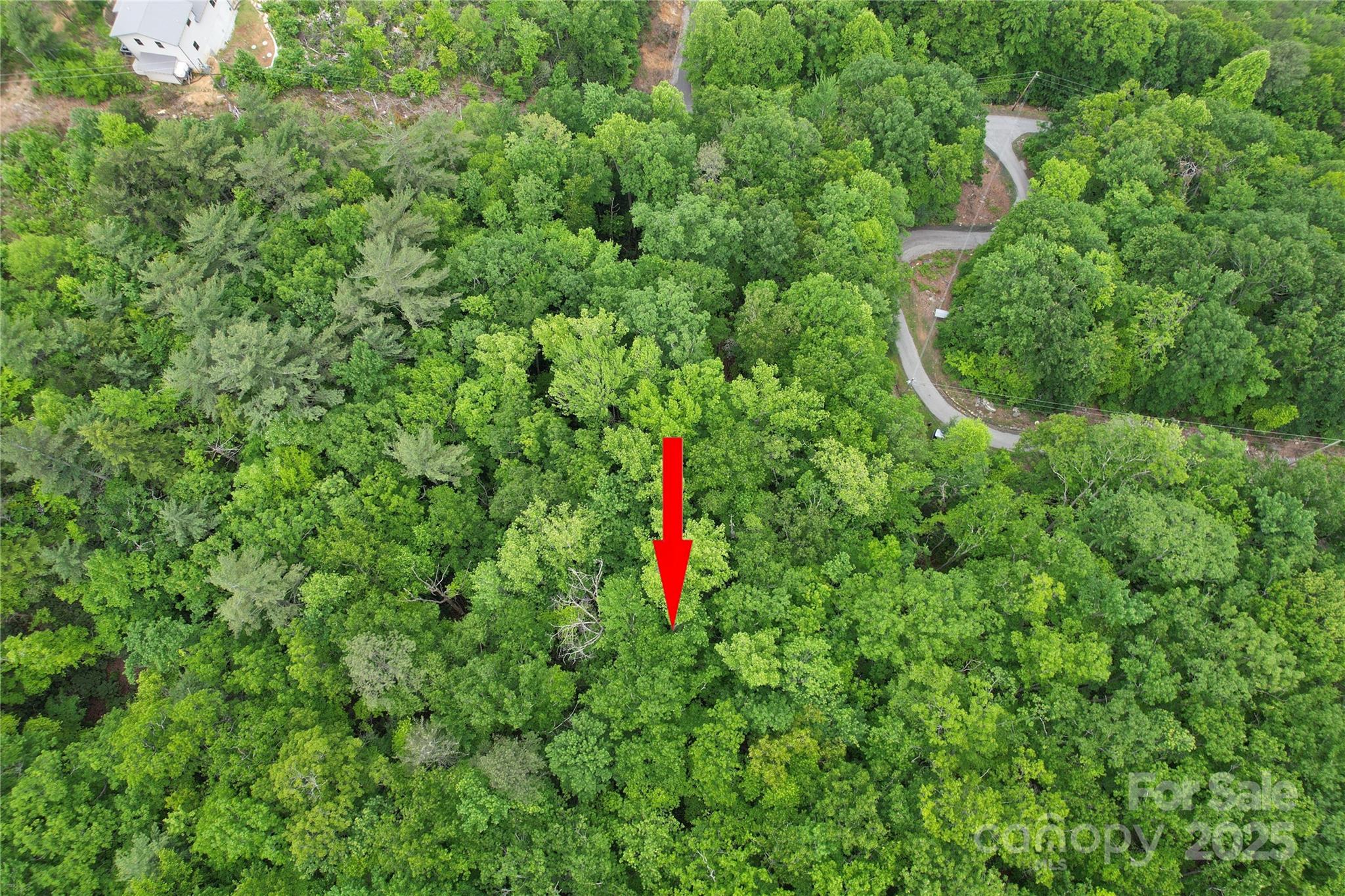 Tbd Ridge Cove Drive, Unit 54 & 55 Marion, NC 28752 - Photo 26 of 36 a view of a yard with a plant and plants
