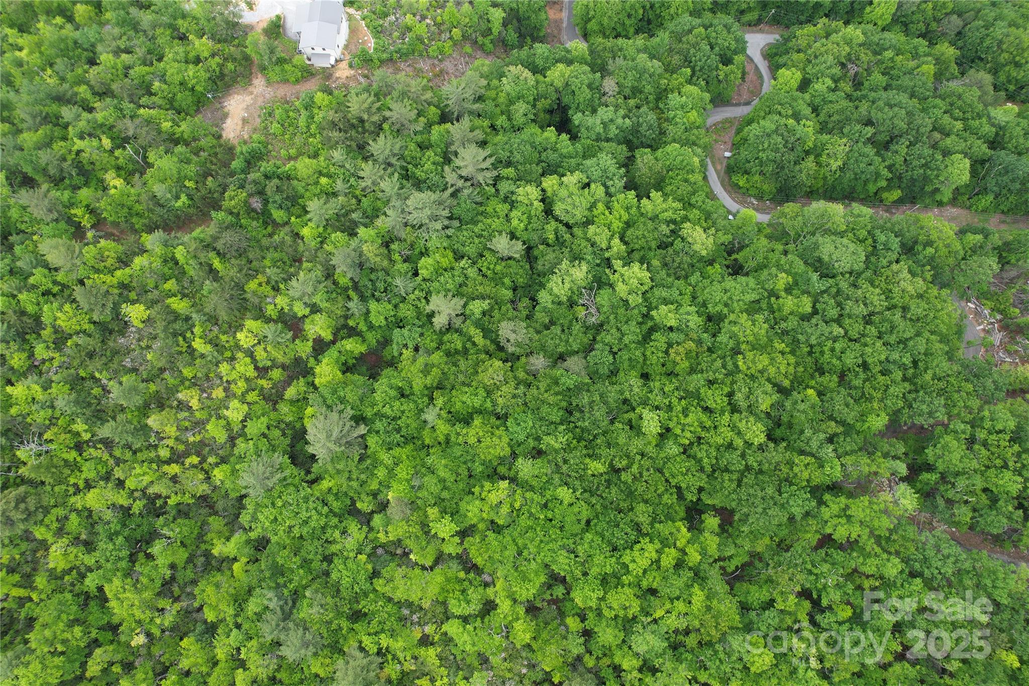 Tbd Ridge Cove Drive, Unit 54 & 55 Marion, NC 28752 - Photo 27 of 36 a view of a lush green forest with lots of trees