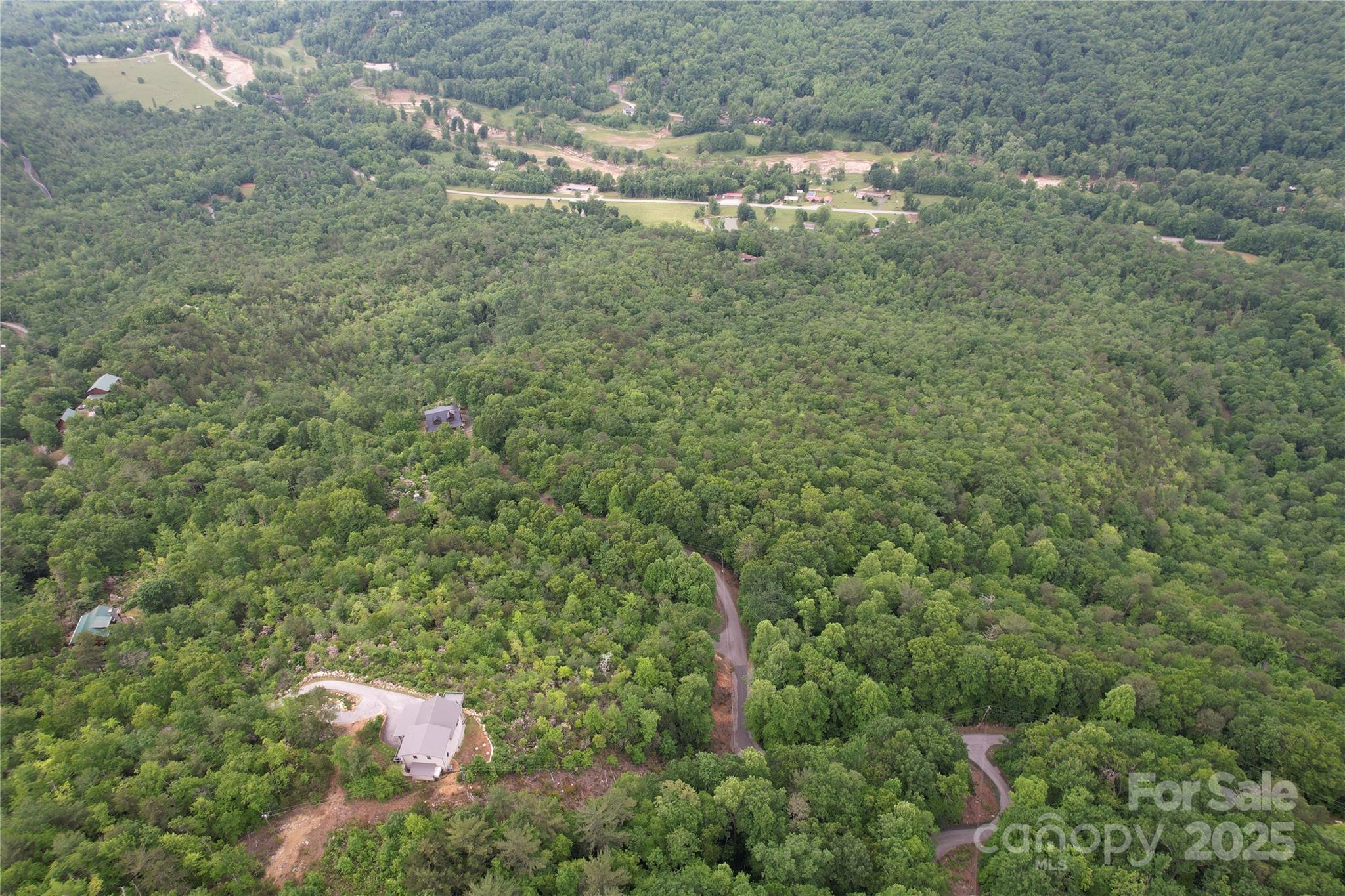 Tbd Ridge Cove Drive, Unit 54 & 55 Marion, NC 28752 - Photo 29 of 36 a close up of a plant in a field