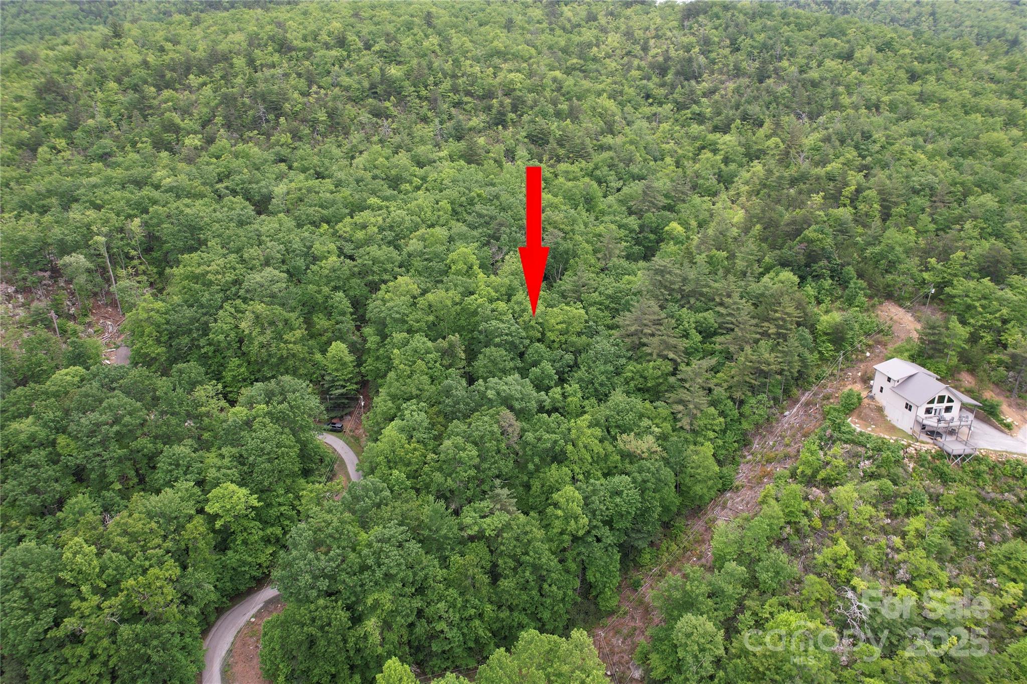 Tbd Ridge Cove Drive, Unit 54 & 55 Marion, NC 28752 - Photo 30 of 36 a bird view of a building