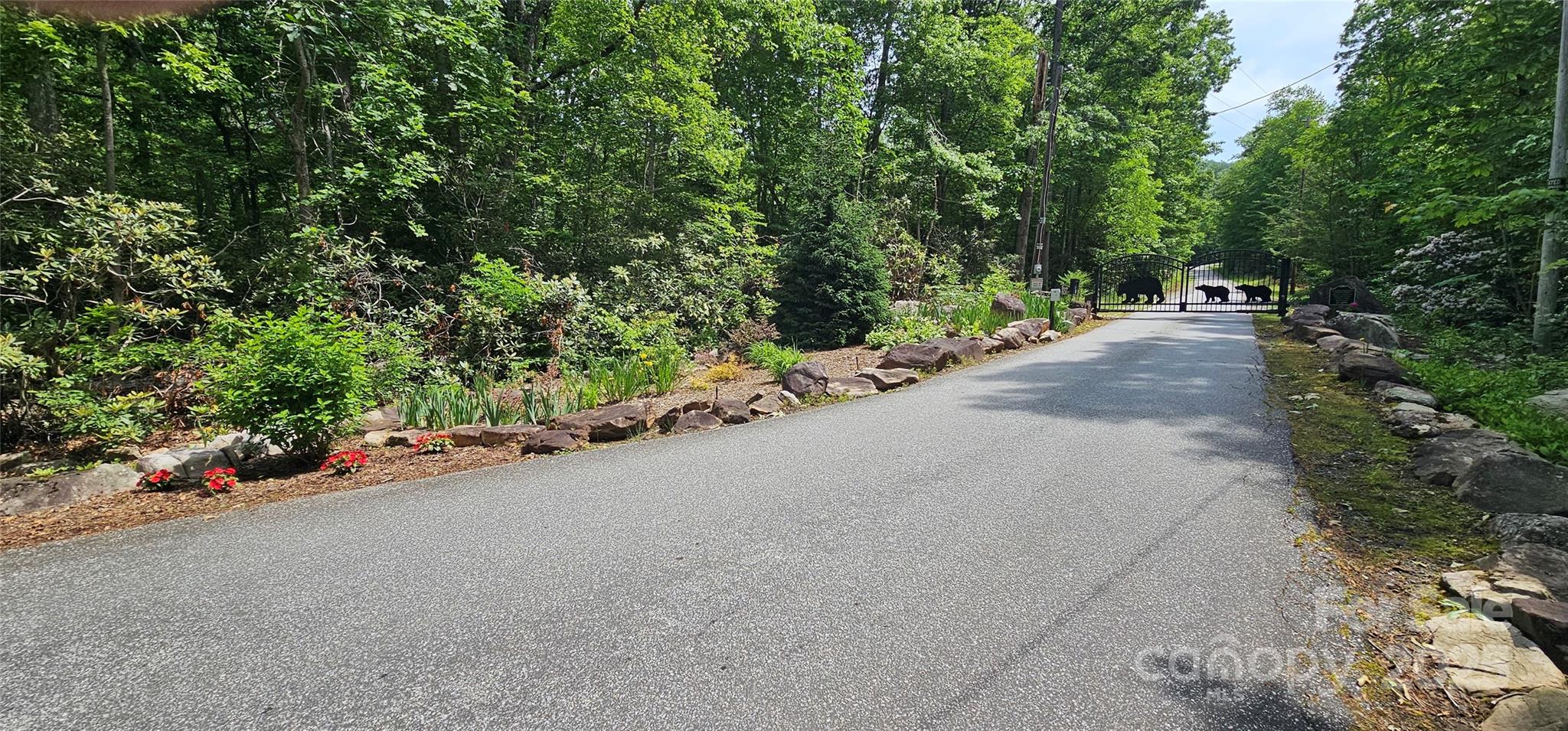 Tbd Ridge Cove Drive, Unit 54 & 55 Marion, NC 28752 - Photo 3 of 36 a road view with a garden