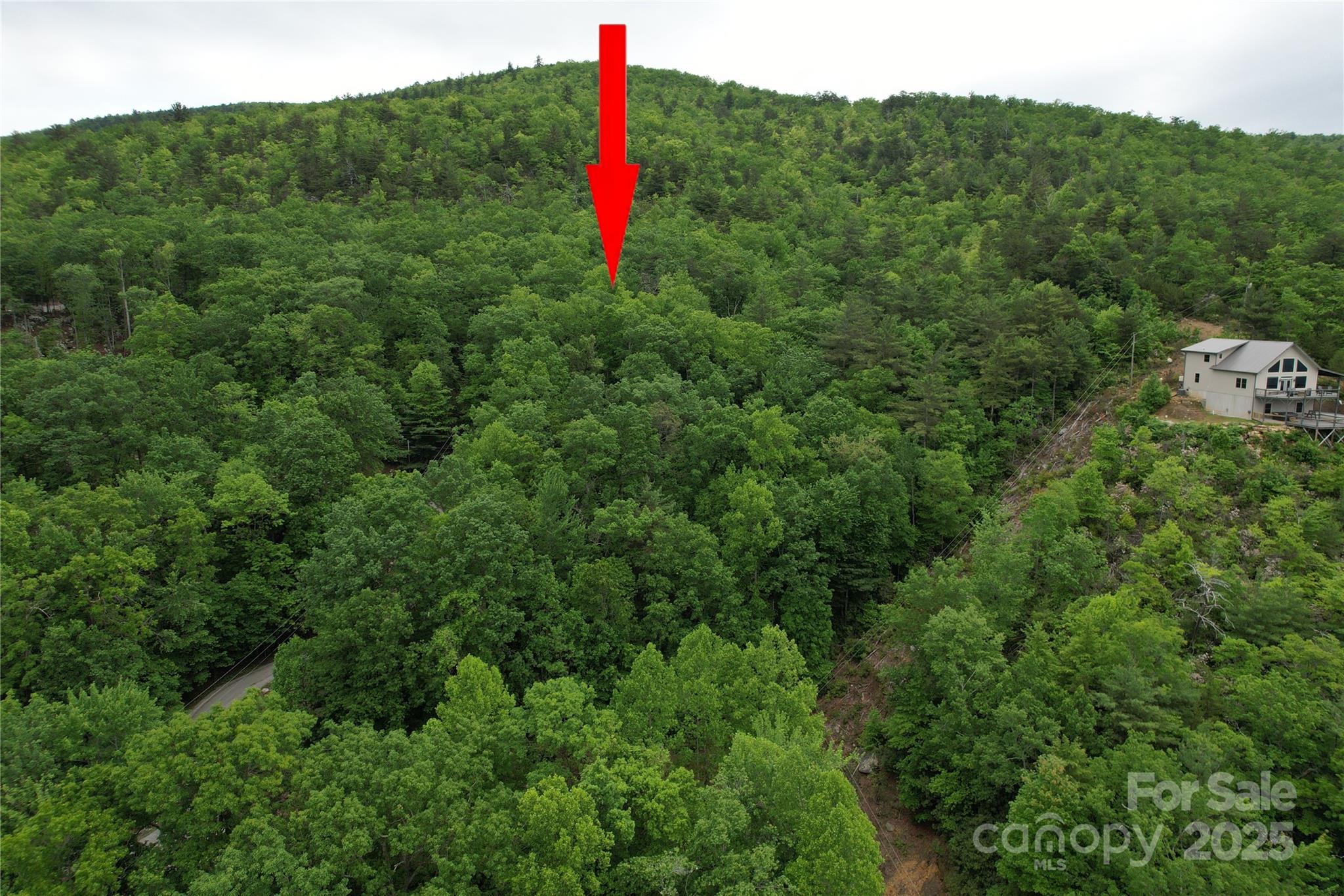 Tbd Ridge Cove Drive, Unit 54 & 55 Marion, NC 28752 - Photo 31 of 36 a view of a green field with a tree in the background