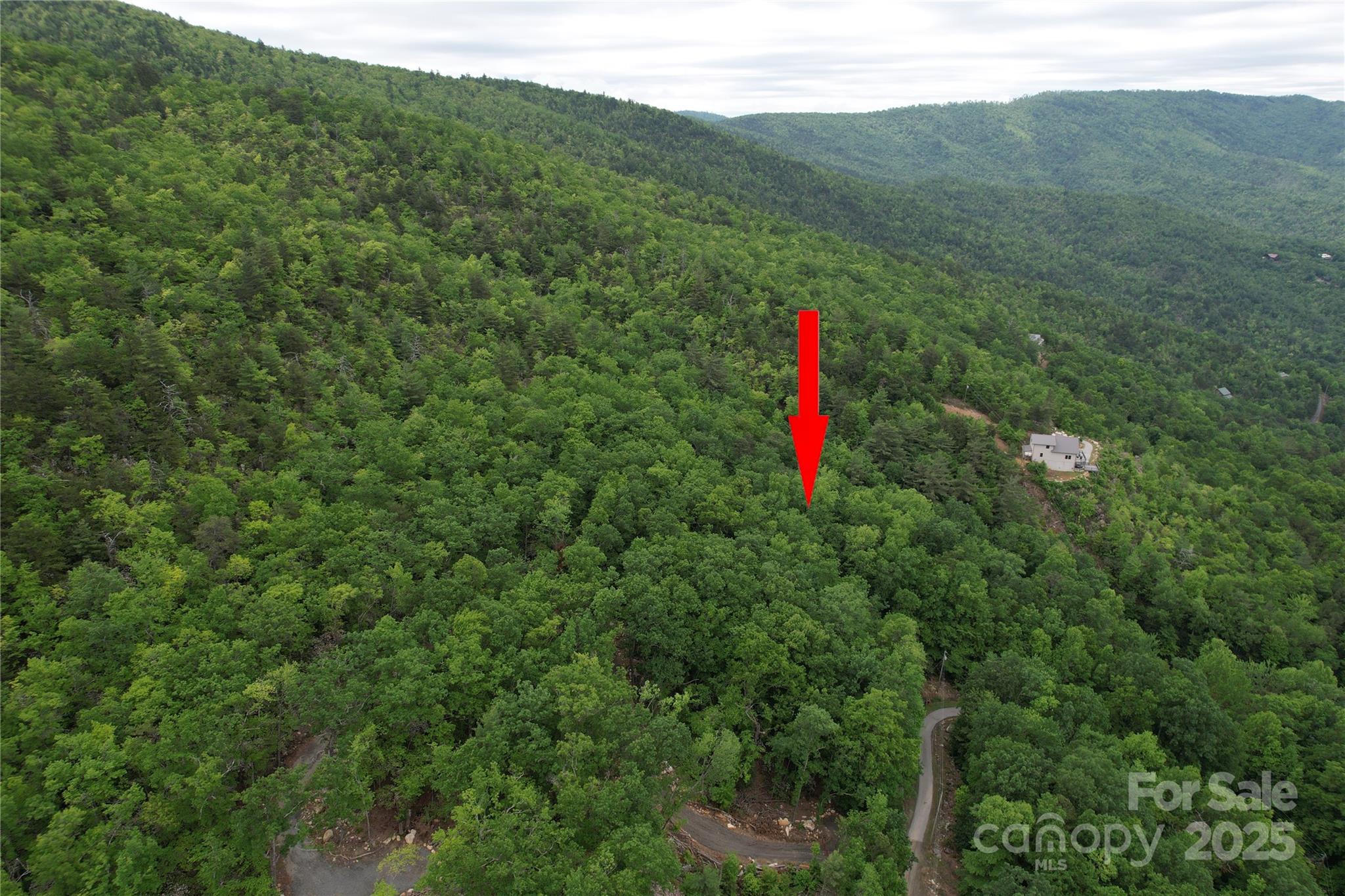 Tbd Ridge Cove Drive, Unit 54 & 55 Marion, NC 28752 - Photo 35 of 36 a view of a field with a tree