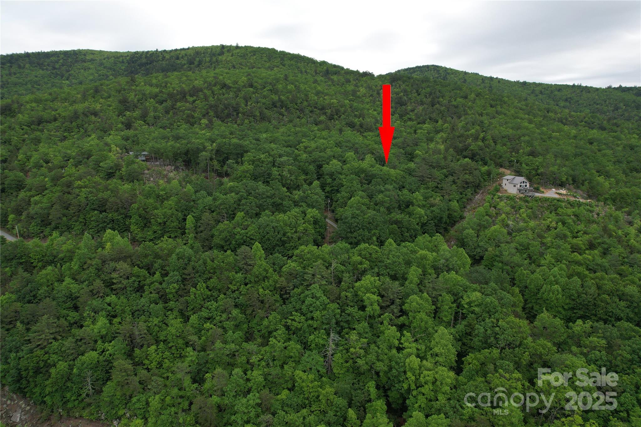 Tbd Ridge Cove Drive, Unit 54 & 55 Marion, NC 28752 - Photo 36 of 36 a view of a field with a tree in the background