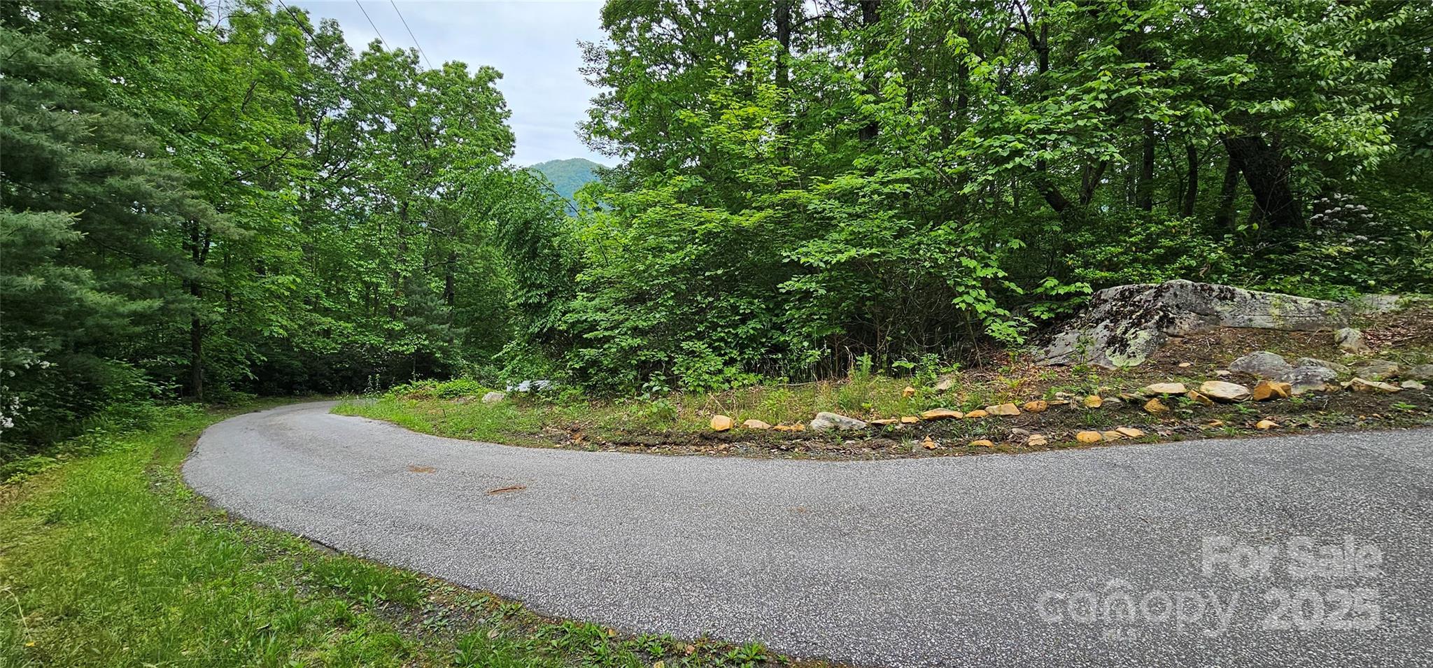 Tbd Ridge Cove Drive, Unit 54 & 55 Marion, NC 28752 - Photo 6 of 36 a view of a yard with a plants