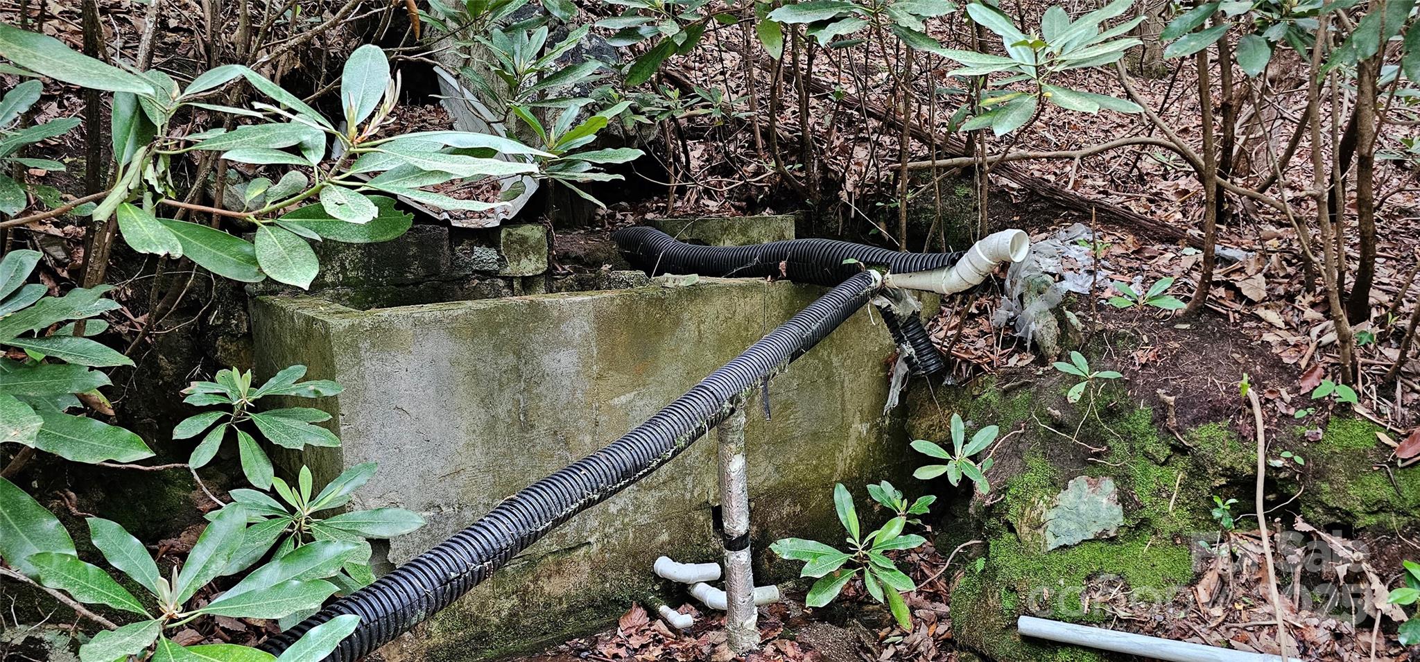 Tbd Ridge Cove Drive, Unit 54 & 55 Marion, NC 28752 - Photo 8 of 36