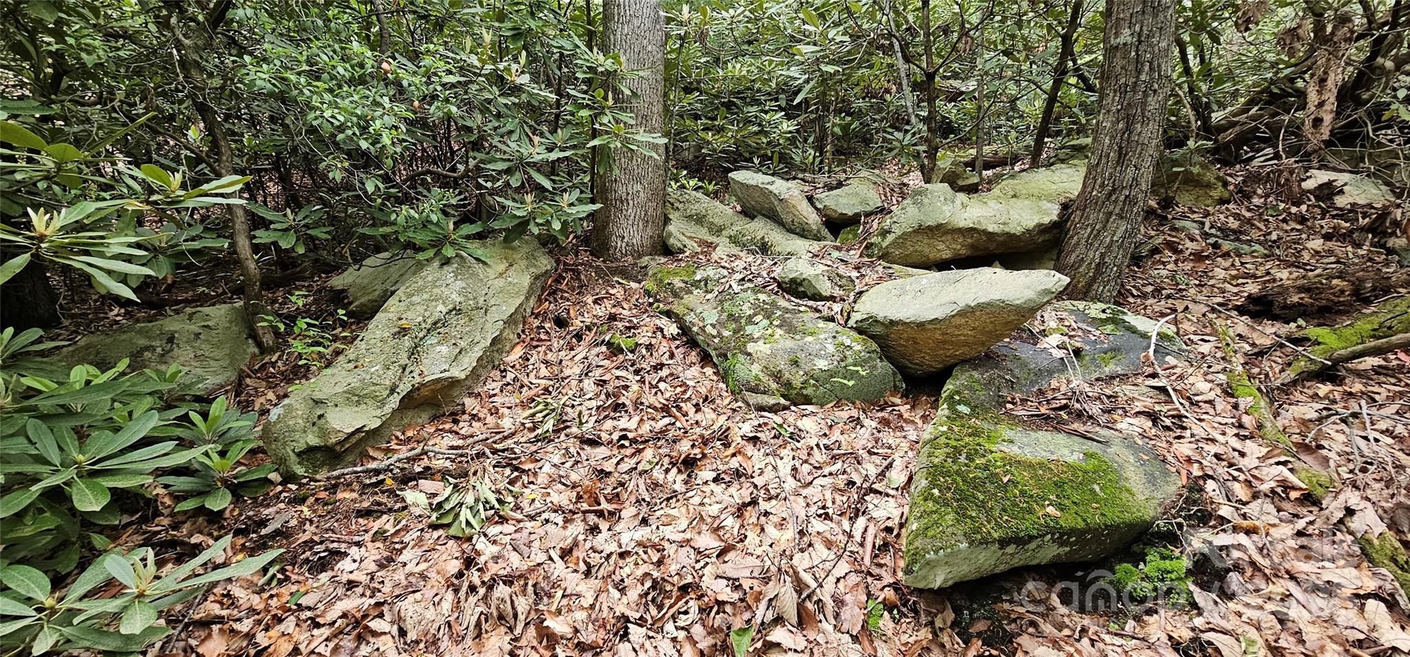 Tbd Ridge Cove Drive, Unit 54 & 55 Marion, NC 28752 - Photo 9 of 36 a view of a garden with plants and a bench