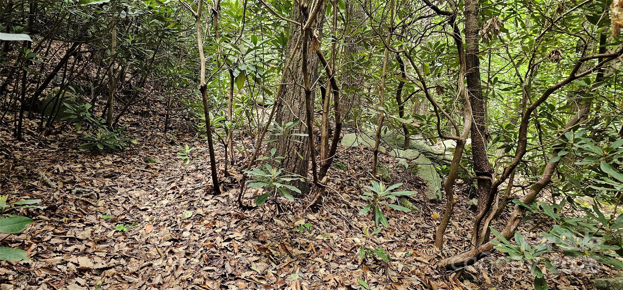 Tbd Ridge Cove Drive, Unit 54 & 55 Marion, NC 28752 - Photo 10 of 36 a view of a yard