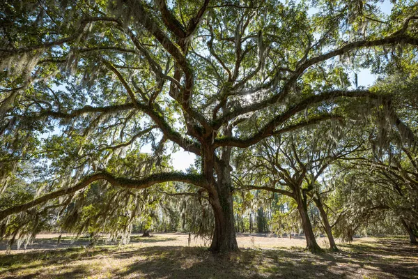 $349,000 | 2 Mauricena Road, Georgetown, SC 29440