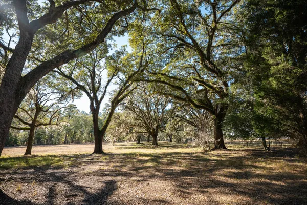 $349,000 | 2 Mauricena Road, Georgetown, SC 29440