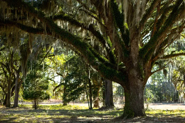 $349,000 | 2 Mauricena Road, Georgetown, SC 29440