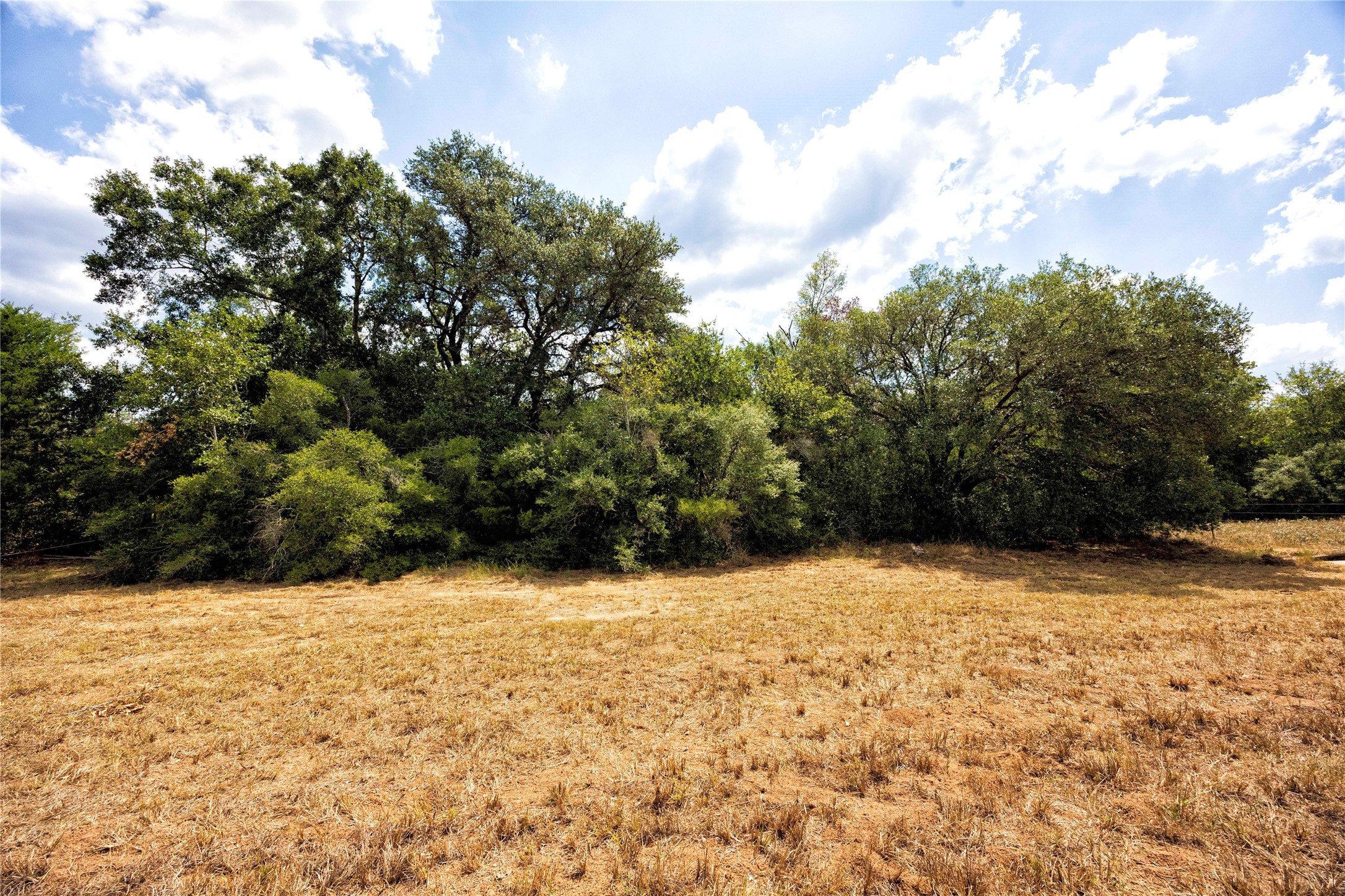710 County Road 211 Hallettsville, TX 77964 - Photo 25 of 29 a view of snow covered with snow