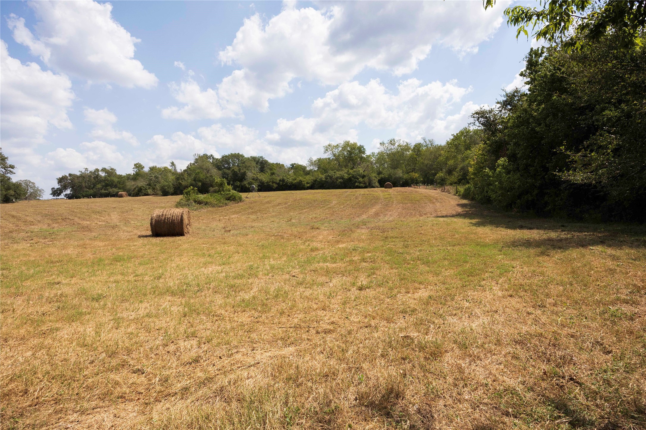 710 County Road 211 Hallettsville, TX 77964 - Photo 26 of 29