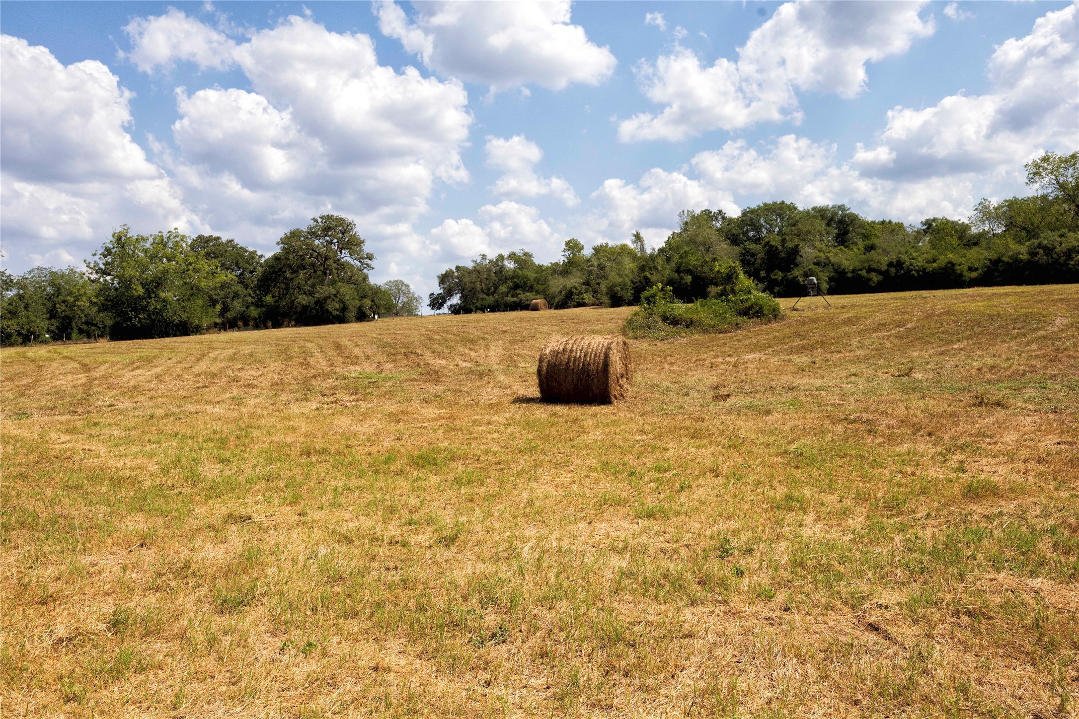 710 County Road 211 Hallettsville, TX 77964 - Photo 27 of 29 a view of outdoor space and yard
