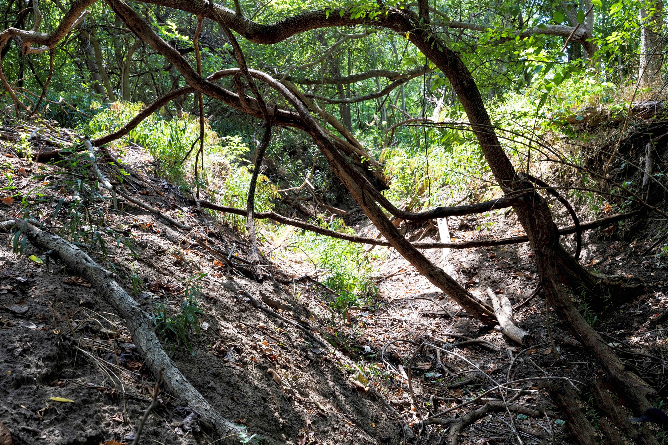 710 County Road 211 Hallettsville, TX 77964 - Photo 10 of 29