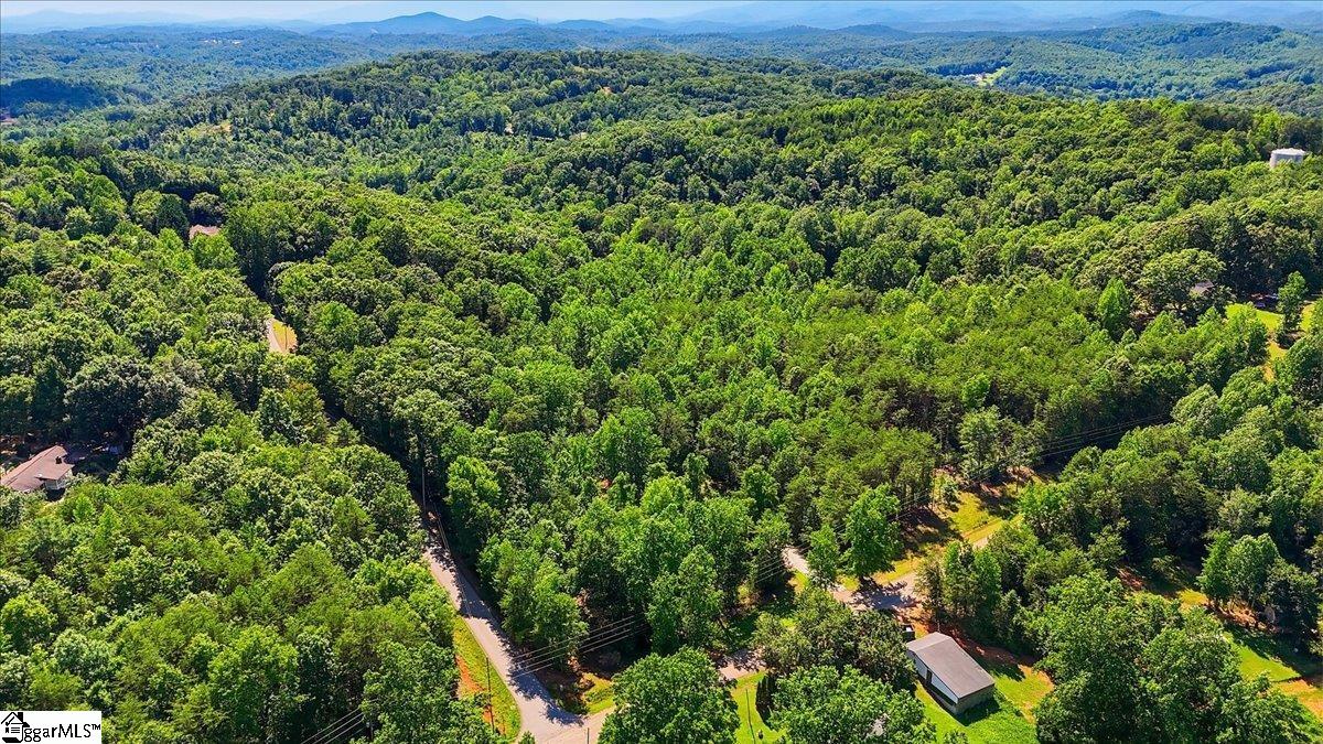 883 Goodwin Bridge Road Travelers Rest, SC 29690 - Photo 5 of 12