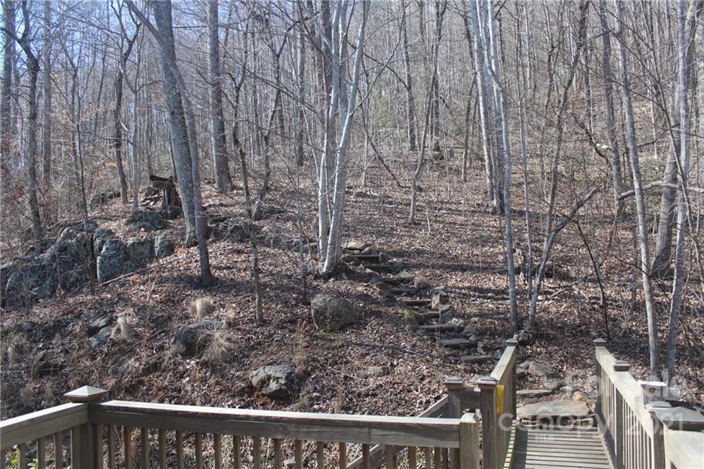 37 Hope View Road Swannanoa, NC 28778 - Photo 37 of 37 Gallery Image 37