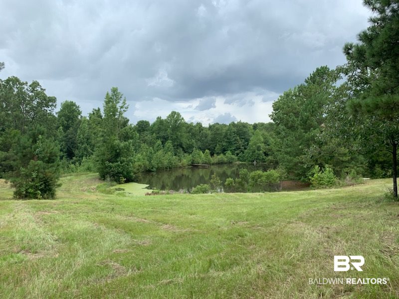 1178 Dry Lake Road Luverne, AL 36049 - Photo 7 of 50