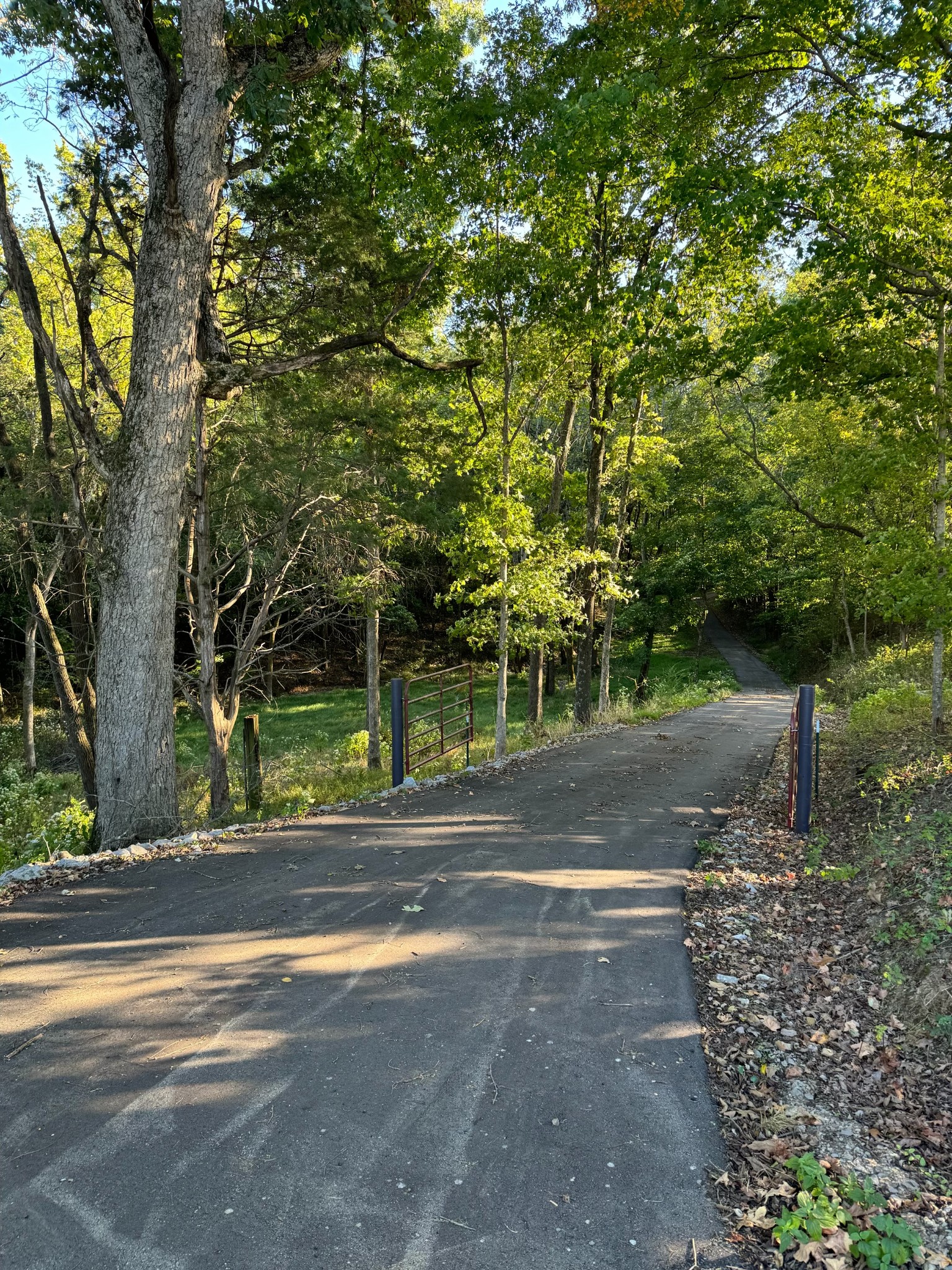 4451 Airport Road Springfield, TN 37172 - Photo 28 of 31 a view of street along with trees