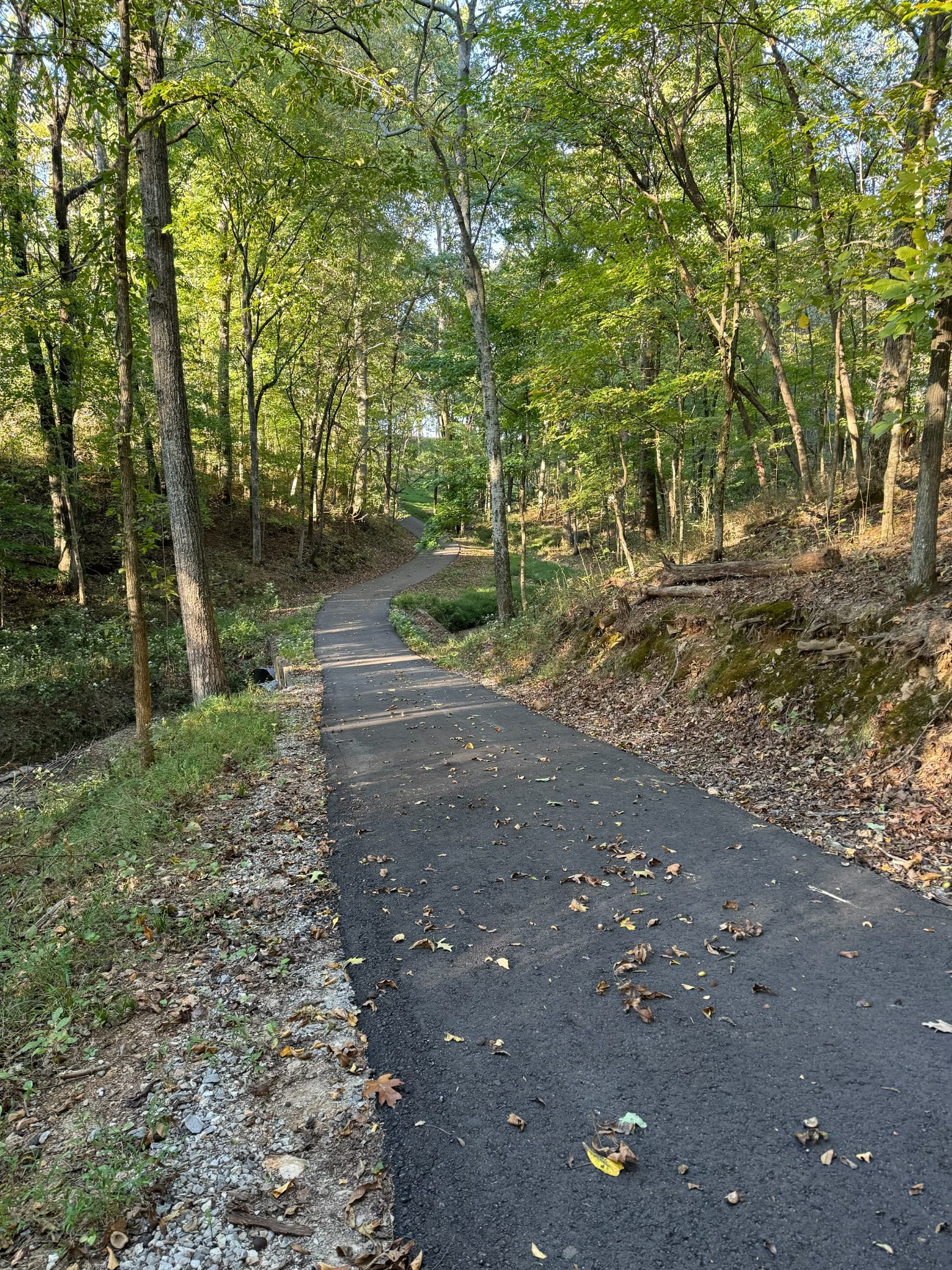 4451 Airport Road Springfield, TN 37172 - Photo 29 of 31 a view of a forest with trees