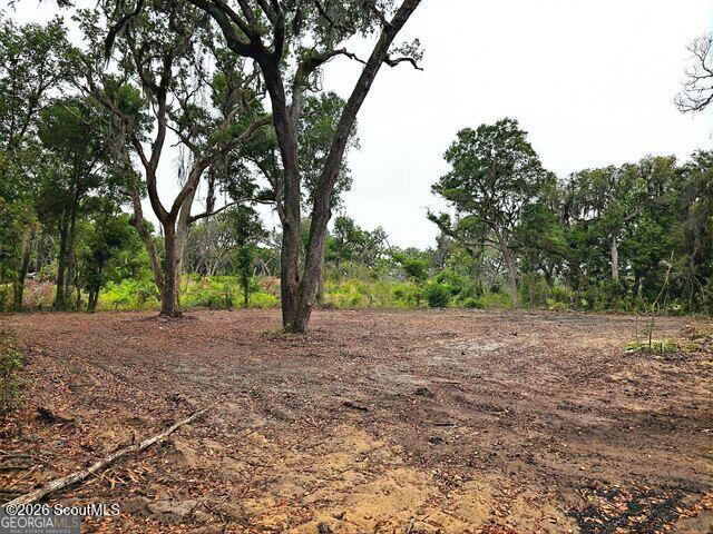 2079 Susie Baker Road Northeast, Unit 2079 Townsend, GA 31331 - Photo 5 of 6