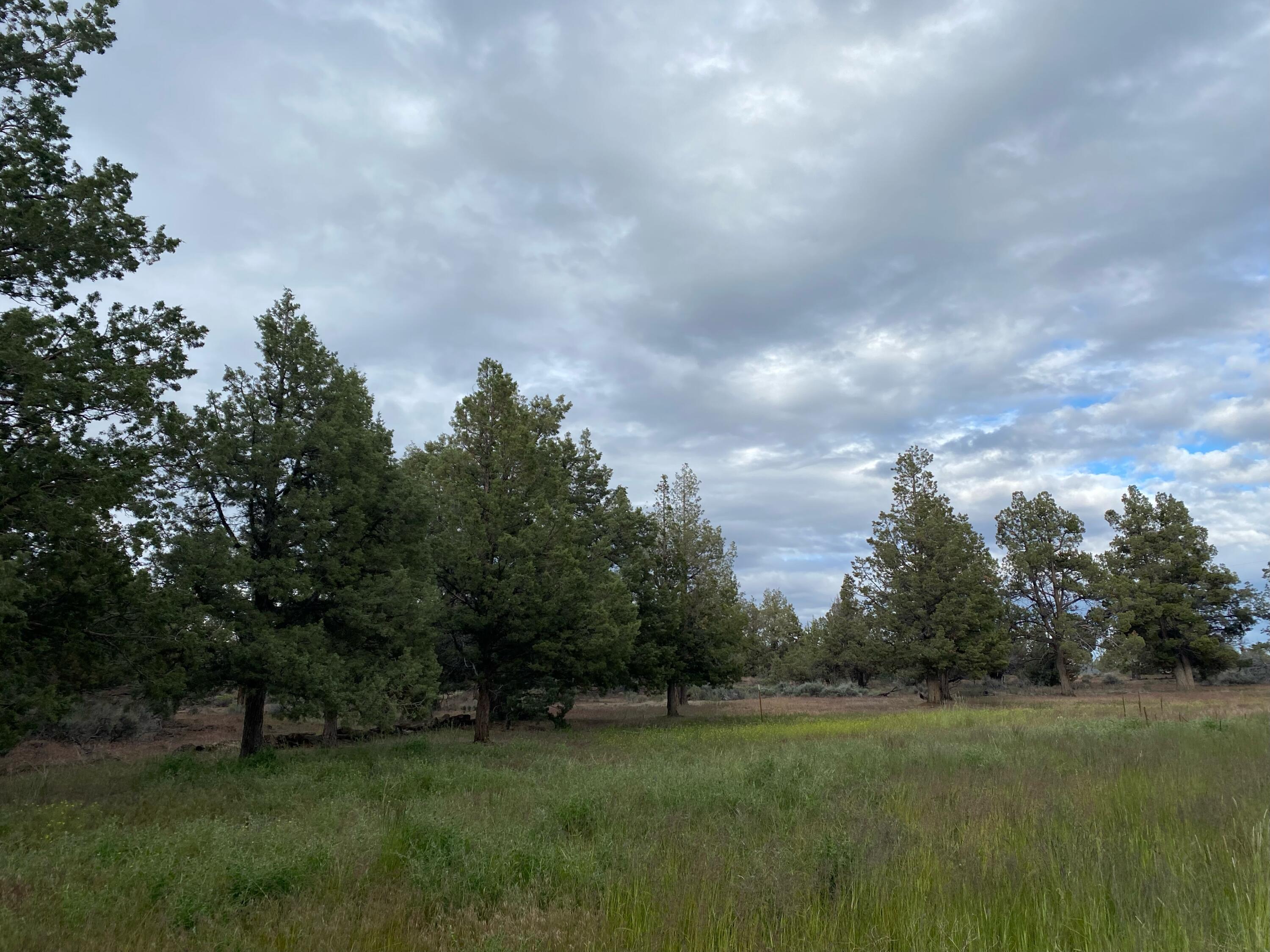 62324 Byram Road Bend, OR 97701 - Photo 8 of 20 62324 BYRAM RD