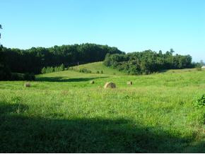 0 Ralph Hoss Road Jonesborough, TN 37659 - Photo 1 of 1 Photo 1