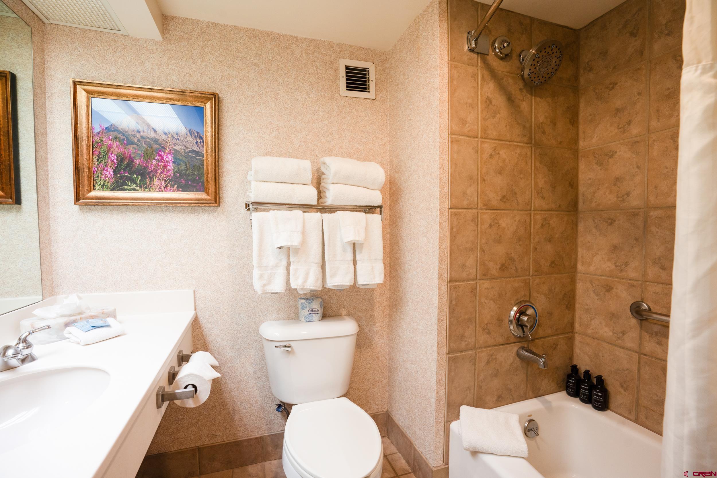 6 Emmons Road, Unit 463 Crested Butte, CO 81225 - Photo 14 of 21 a bathroom with a toilet sink and shower