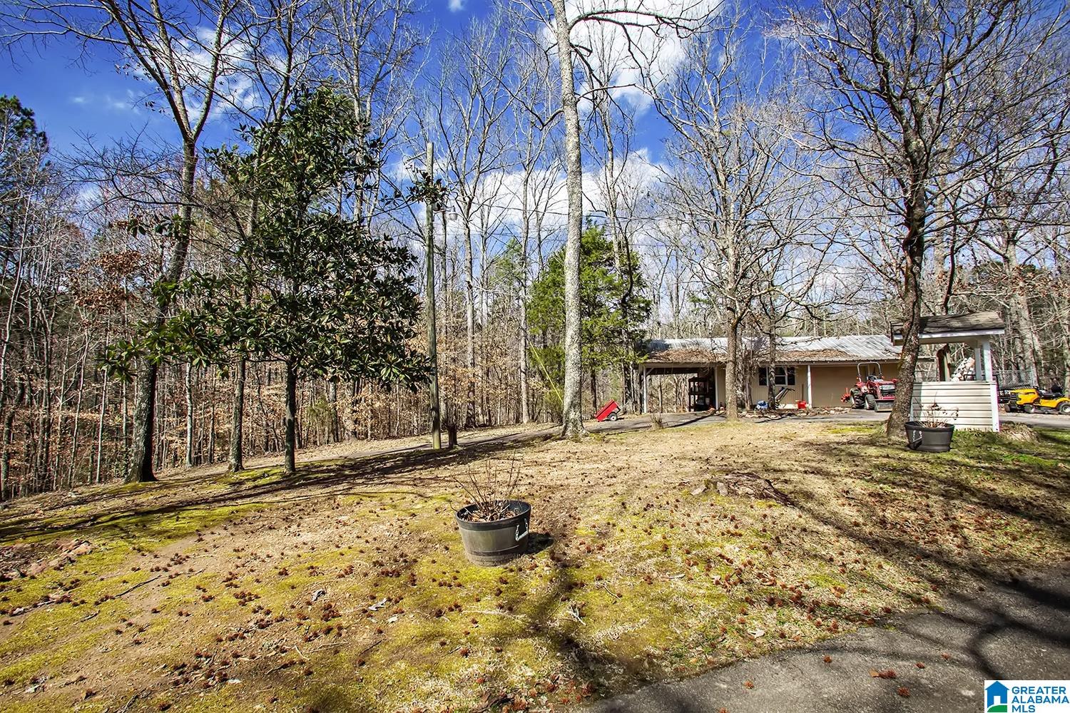 6911 Deer Haven Road Pinson, AL 35126 - Photo 11 of 52