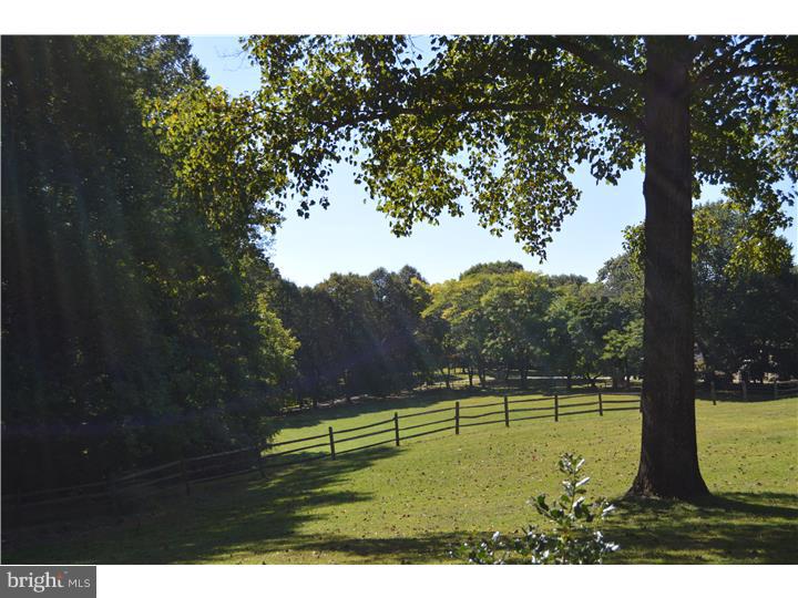 408 Dutton Mill Road Malvern, PA 19355 - Photo 22 of 23 Back Yard