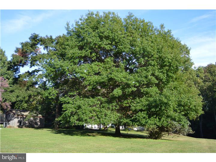 408 Dutton Mill Road Malvern, PA 19355 - Photo 4 of 23 Back Yard