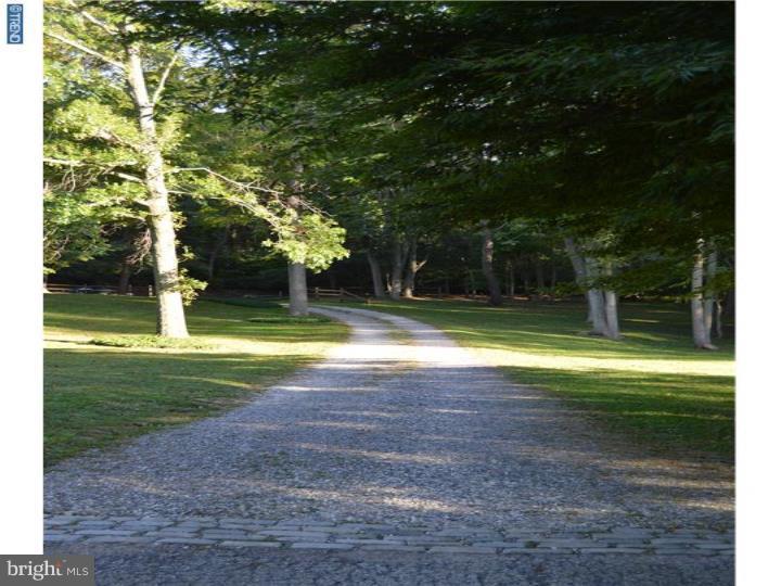 408 Dutton Mill Road Malvern, PA 19355 - Photo 5 of 23 Driveway