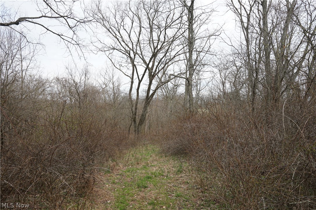 56835 Stephens Road Jacobsburg, OH 43933 - Photo 43 of 50