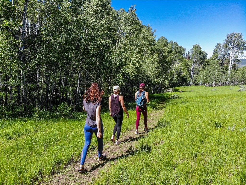 34905 Rockledge Road Steamboat Springs, CO 80487 - Photo 12 of 25 a view of a park with large trees