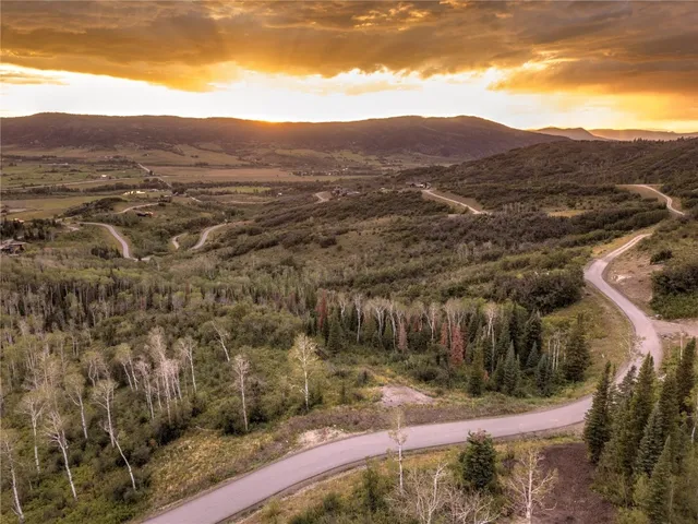 a view of a yard with wooden fence