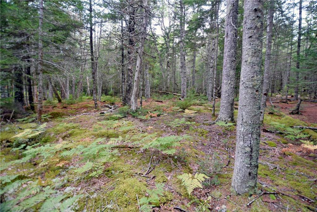 Tbd Tbd Indian Point Road Mount Desert, ME 04660 - Photo 15 of 16 Photo