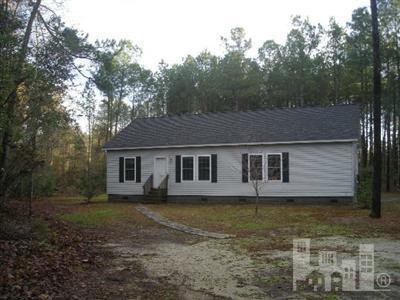 4611 Bell Williams Road Currie, NC 28435 - Photo 1 of 10 Primary Photo
