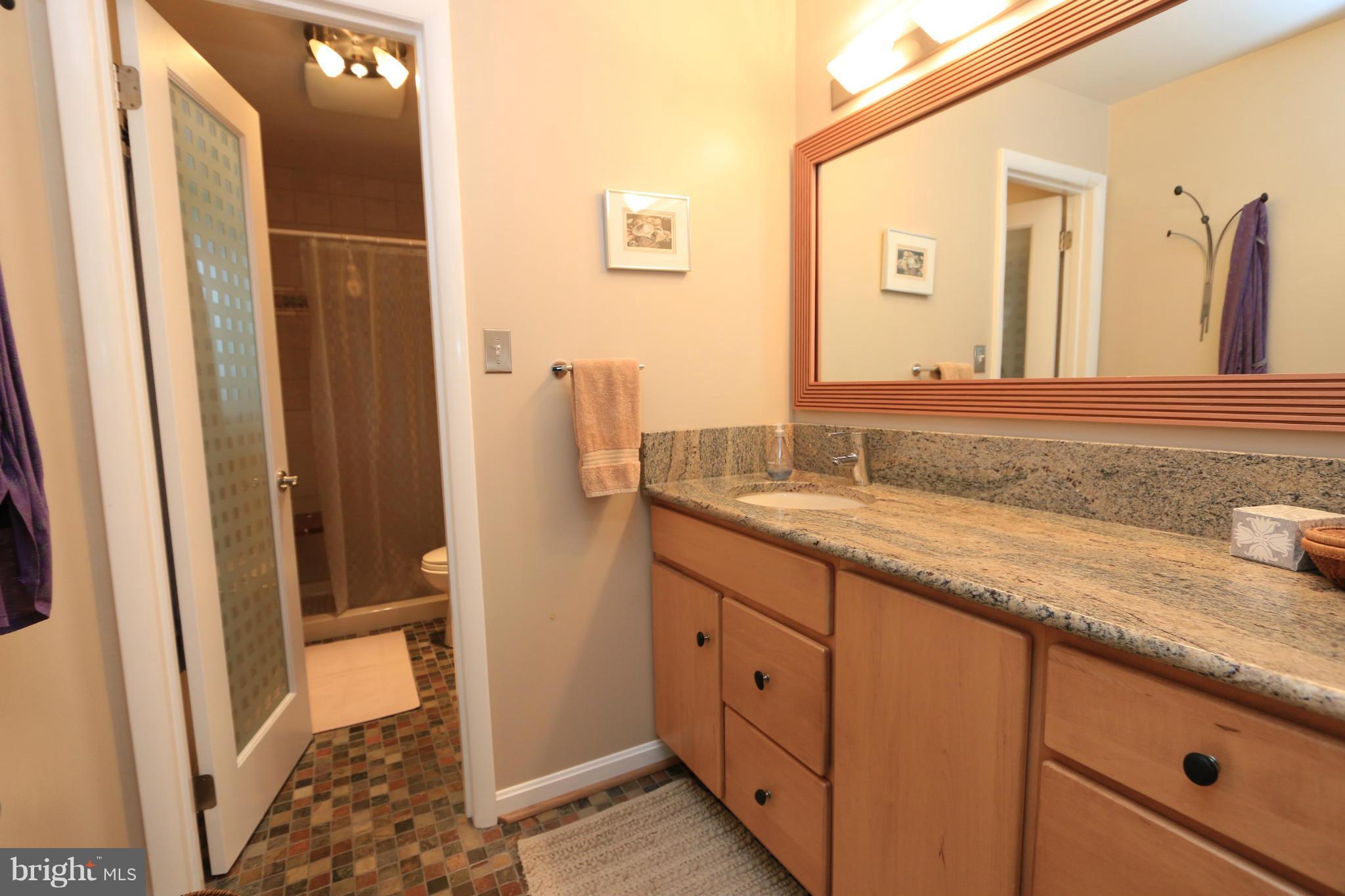 1903 Ramstead Lane Reston, VA 20191 - Photo 14 of 30 Bath (Master)