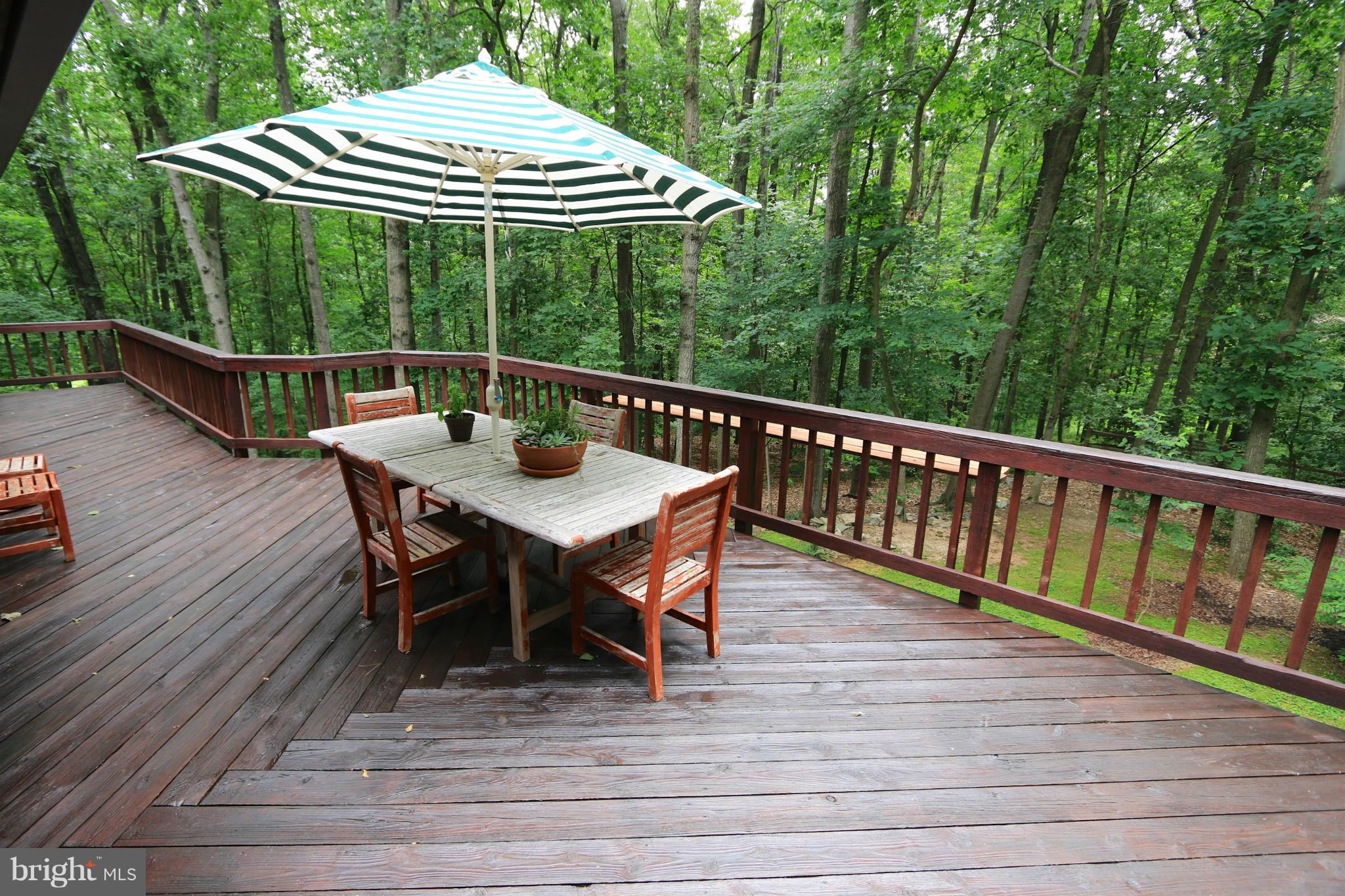 1903 Ramstead Lane Reston, VA 20191 - Photo 6 of 30 Deck with Wooded Views