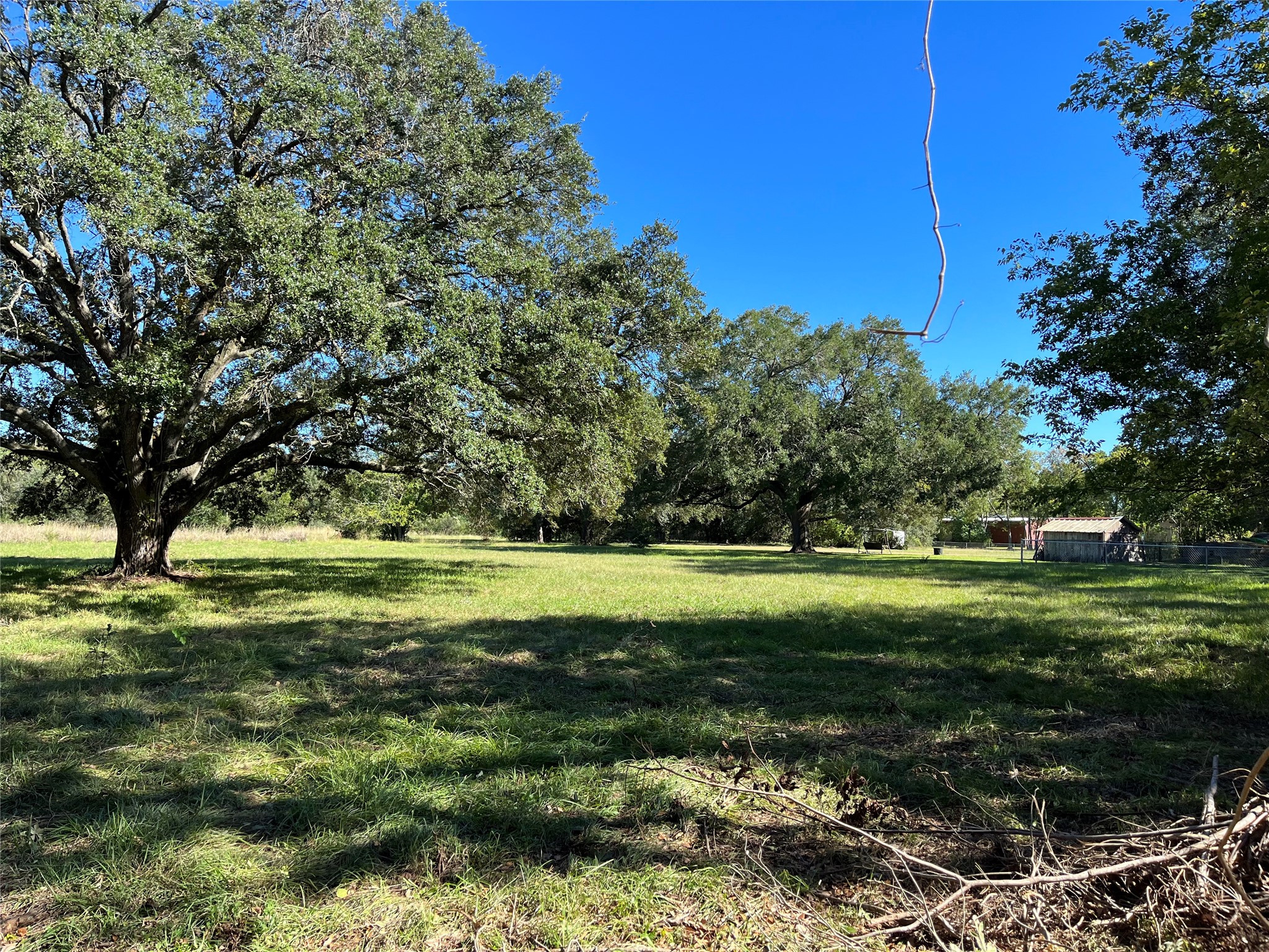 6125 Masters Manvel, TX 77578 - Photo 5 of 8 a view of a grassy field with trees