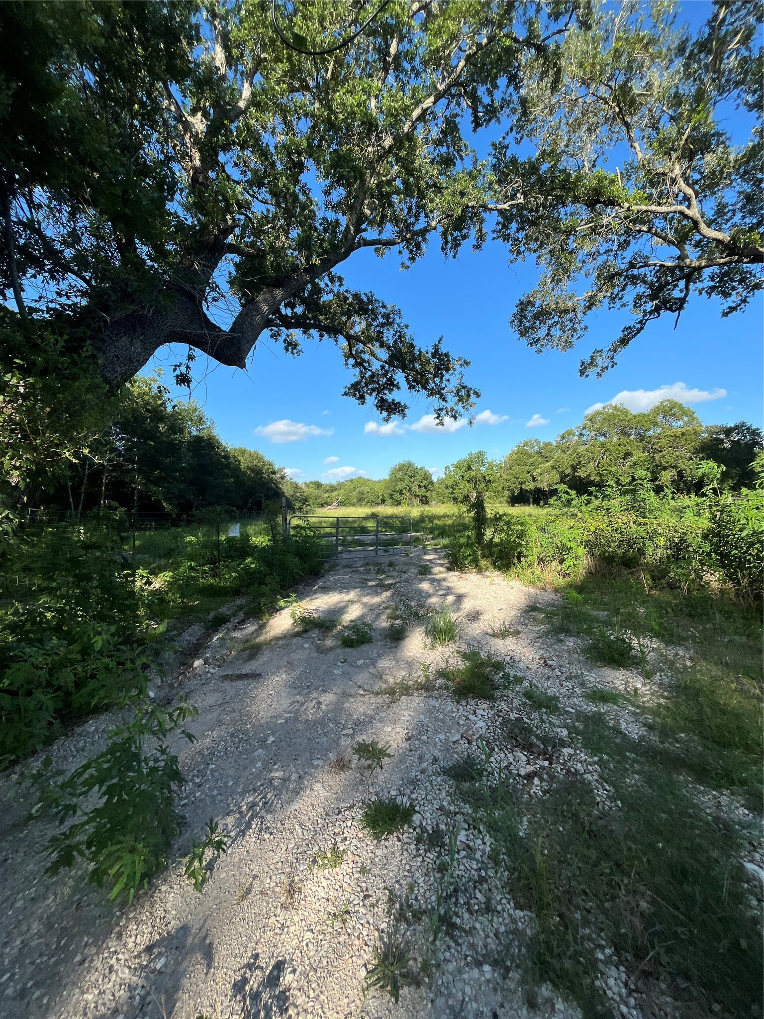 6125 Masters Manvel, TX 77578 - Photo 6 of 8 a view of a yard with lots of green space